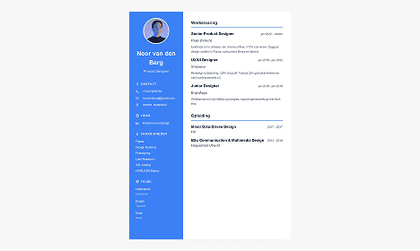 Voorbeeld modern design CV template